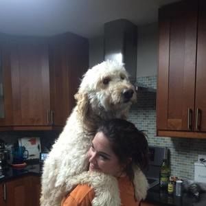 Meet your Posher, Monica